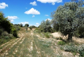 Calaceite 28400&nbsp;m²