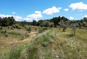 Calaceite 28400&nbsp;m²