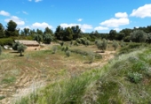 Terreny no urbanitzable en venda a Calaceit ref.: TR408383 foto