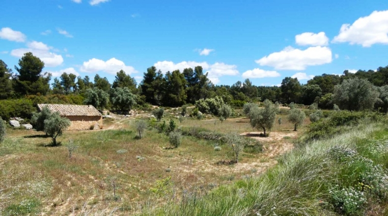 Teruel - Calaceite - 28400m2