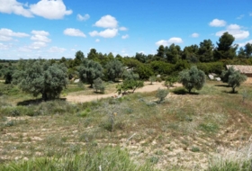 Calaceite 28400&nbsp;m²