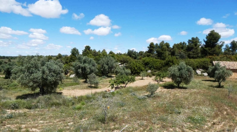 Teruel - Calaceite - 28400m2