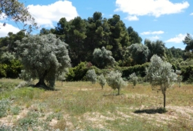 Calaceite 28400&nbsp;m²