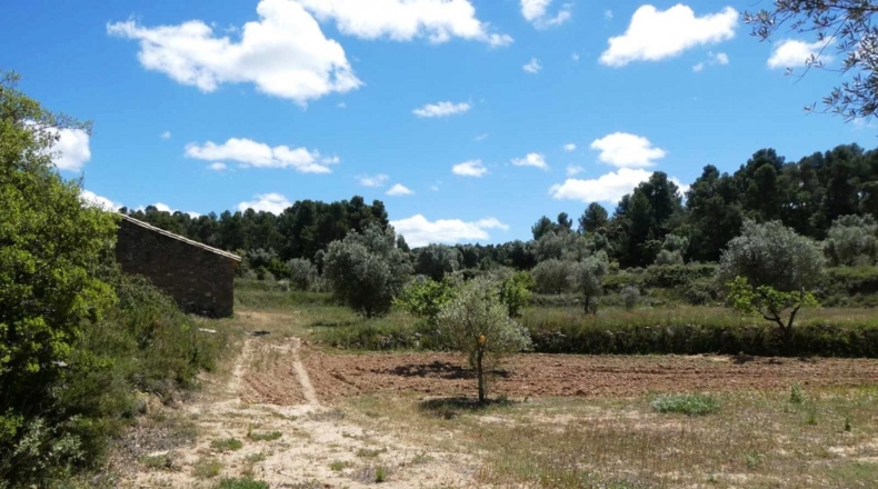 Teruel - Calaceite - 28400m2