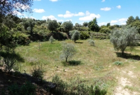 Calaceite 28400&nbsp;m²