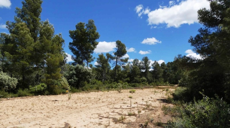 Teruel - Calaceite - 28400m2