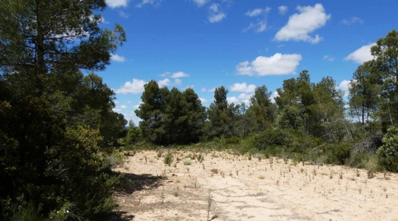 Teruel - Calaceite - 28400m2