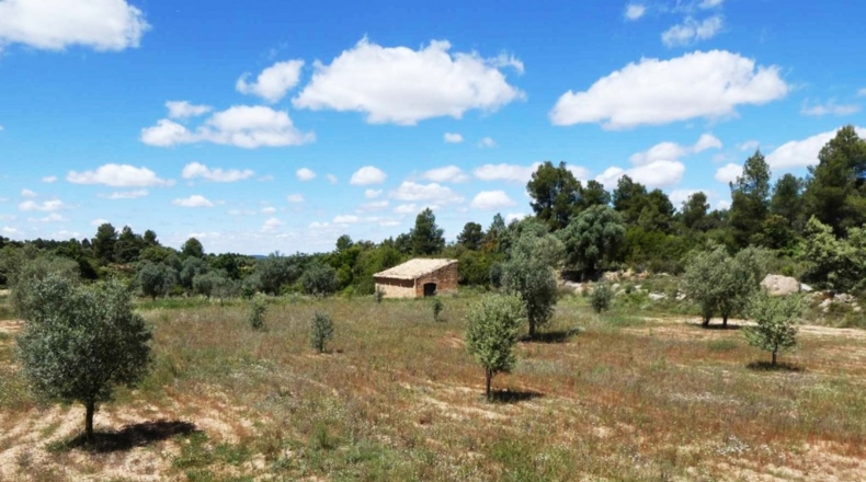 Teruel - Calaceite - 28400m2