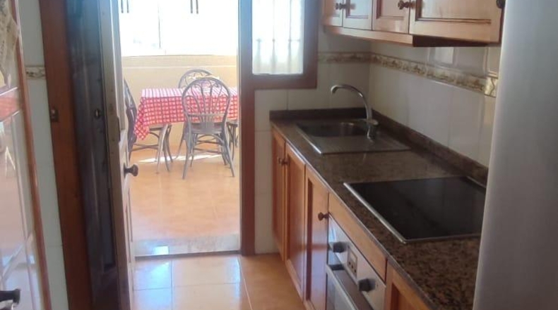 Alicante - Torrevieja - 400m2