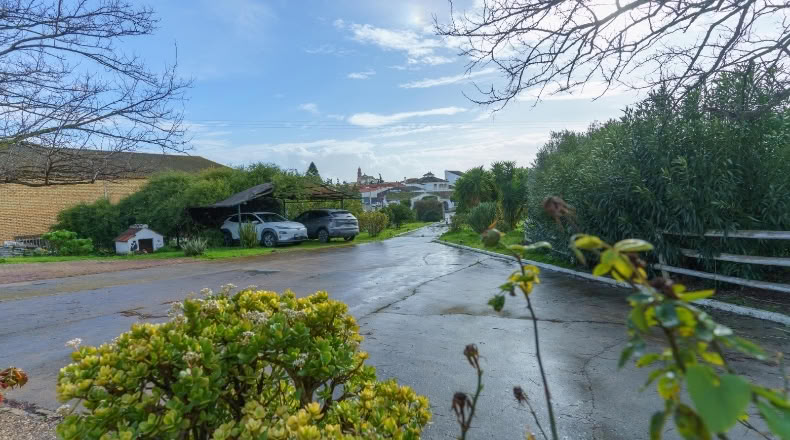 Huelva - Manzanilla - 4500m2