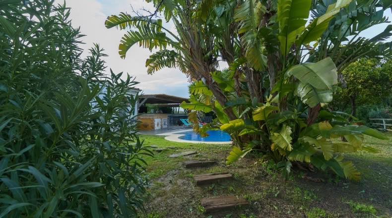 Huelva - Manzanilla - 4500m2