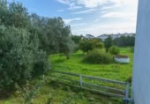 Rural estate for sale in Manzanilla ref: TR408388 photo