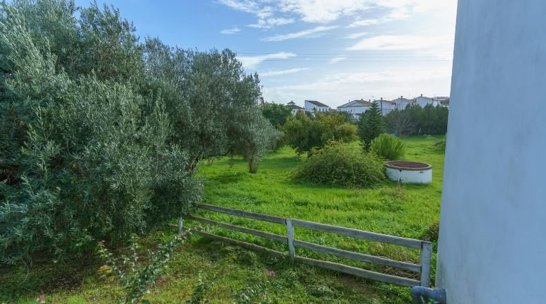 Huelva - Manzanilla - 4500m2
