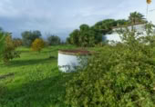 Rural estate for sale in Manzanilla ref: TR408388 photo