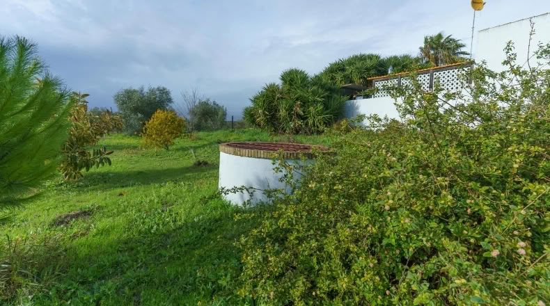 Huelva - Manzanilla - 4500m2