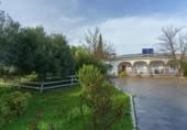 Rural estate for sale in Manzanilla ref: TR408388 photo