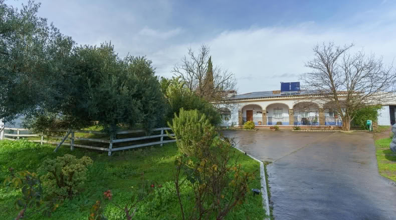 Huelva - Manzanilla - 4500m2