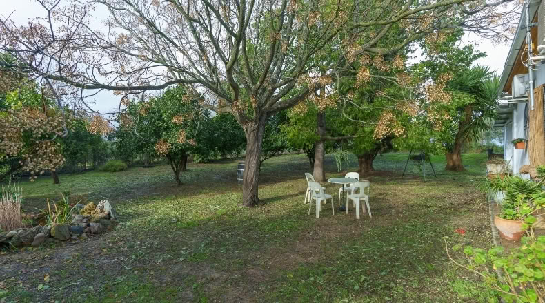 Huelva - Manzanilla - 4500m2