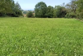 Lamadrid 1188&nbsp;м²
