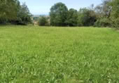 Suelo urbano en venta en la Radillo 1, Lamadrid, ref: TR408389 foto