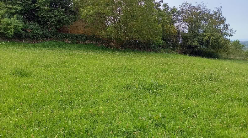 Cantàbria - Lamadrid - 1188m2