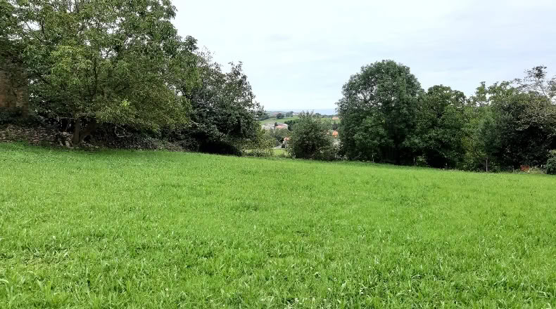 Cantàbria - Lamadrid - 1188m2