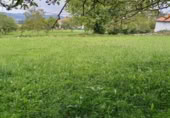 Suelo urbano en venta en la Radillo 1, Lamadrid, ref: TR408389 foto