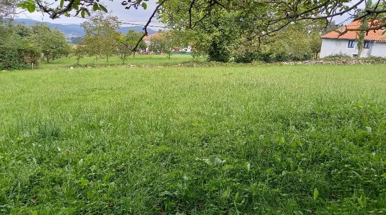 Cantàbria - Lamadrid - 1188m2