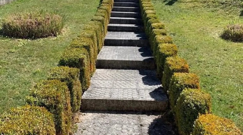 Orense - Cualedro - 2500m2