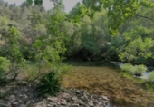 Village house for sale in Paradela ref: TR408400 photo