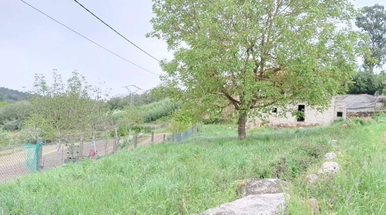 Orense - San Amaro - 600m2