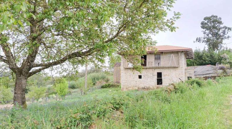 Orense - San Amaro - 600m2