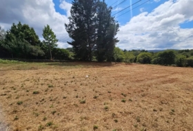 Soutelo de Montes 600&nbsp;m² 
