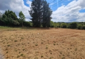 Village house for sale in Soutelo de Montes ref: TR408409 photo