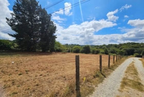 Soutelo de Montes 600&nbsp;m² 