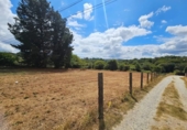 Village house for sale in Soutelo de Montes ref: TR408409 photo