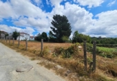 Village house for sale in Soutelo de Montes ref: TR408409 photo