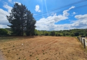 Village house for sale in Soutelo de Montes ref: TR408409 photo