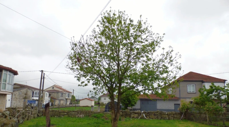Оренсе - Maceda - 200m2