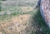 Rural estate for sale on Calle Eras de Arriba, Landete, ref: TR408418 photo