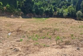 Riudarenes 1300&nbsp;m²