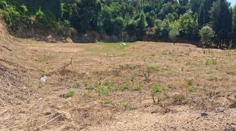 Gerona - Riudarenes - 1300m2