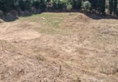 Parcela urbanizable en venta en Riudarenes ref: TR408413 foto