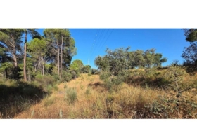 Villablanca 3306&nbsp;m² 