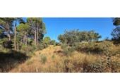 Terreno no urbanizable en venta en la España, Villablanca, ref: TR408421 foto