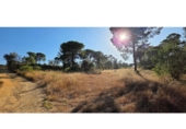 Terreno no urbanizable en venta en la España, Villablanca, ref: TR408421 foto
