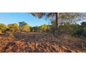 Non-developable land for sale on España, Villablanca, ref: TR408424 photo