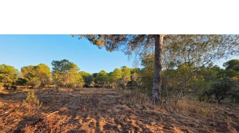 Huelva - Villablanca - 4948m2