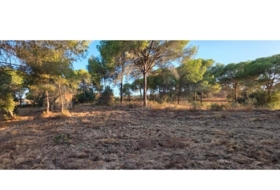 Villablanca 4948&nbsp;m² 