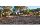 Non-developable land for sale on España, Villablanca, ref: TR408424 photo